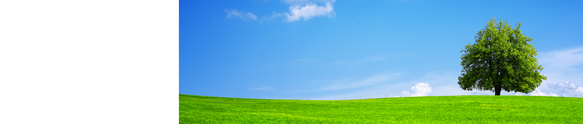 美容室 グリーングラス